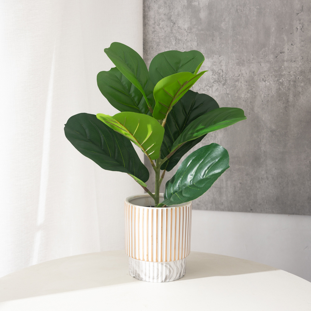 Plantes de Ficus artificielles - Ficus Lyrata Tree avis et prix