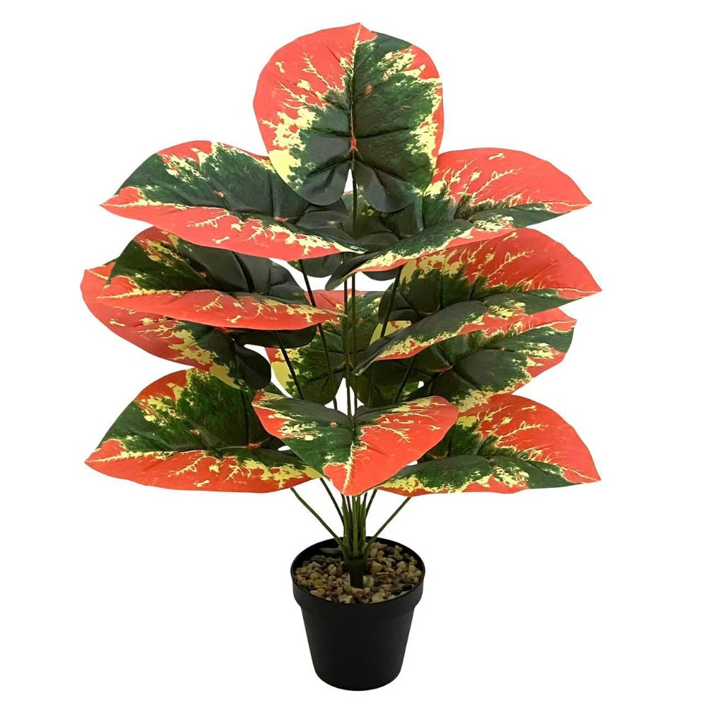 Plantes tropicales artificiell - Ficus Lyrata Tree avis et prix